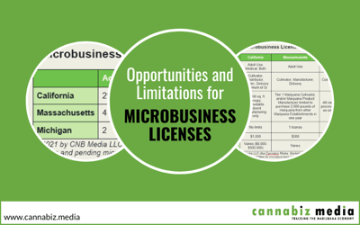 Opportunities and Limitations for Cannabis Microbusiness Licensing