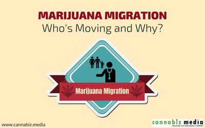 Cannabis Migration – Who’s Moving and Why?