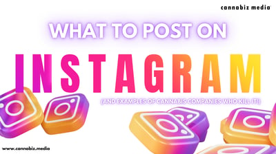 Instagram Content Ideas for Cannabis Brands: 6 Winning Strategies