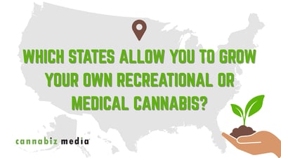 Which States Allow You to Grow Your Own Recreational or Medical Cannabis?