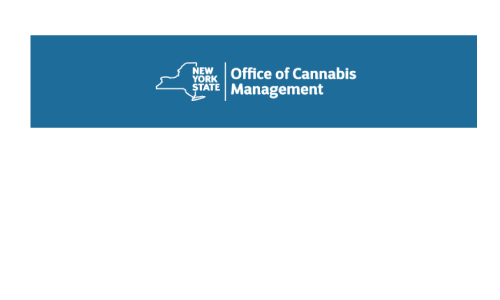 NY-office-canna-mgmt500x300