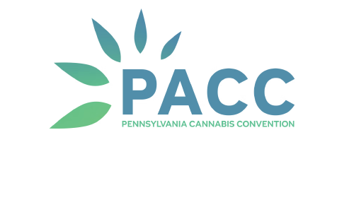 PACC500x300