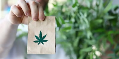 Microbusinesses: The Cannabis Industry’s Small but Mighty Players