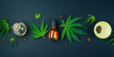 Top Cannabis Brands by State 2026: What the Brand Operator Tells You
