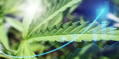 Cannabis Data Analytics: Enhancing B2B Sales with Market Intelligence