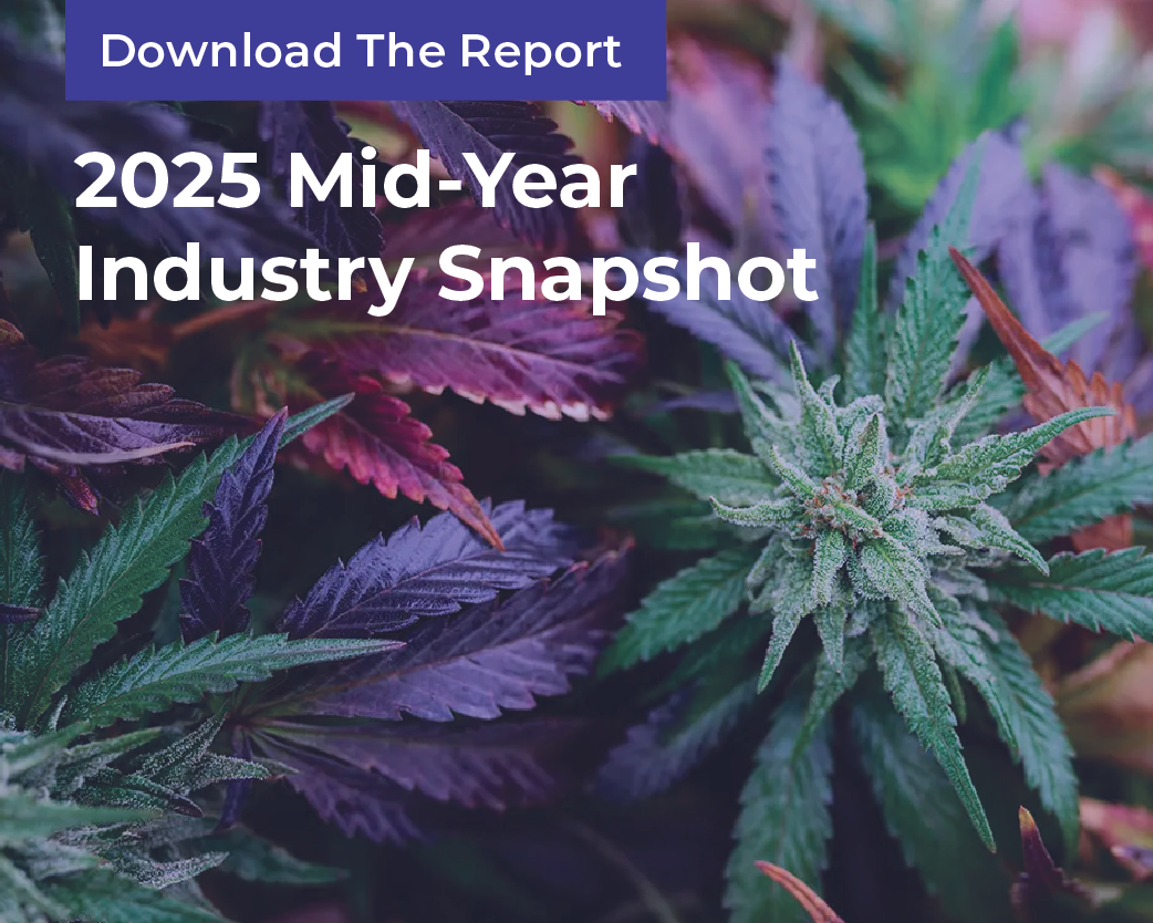 mid-year2025-cover