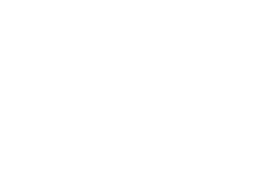 salesforce-2-logo-white400